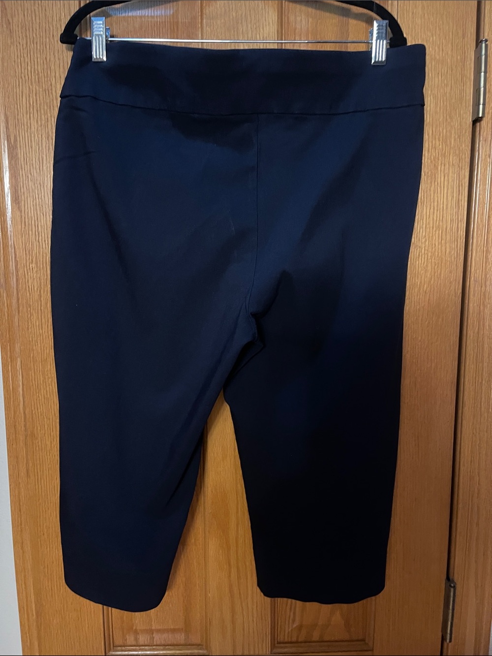 Ruby Rd. Dark Navy Capris - Picture 4 of 4